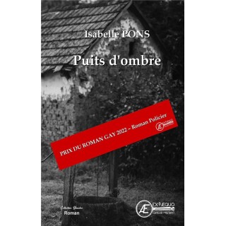 Puits d'ombre