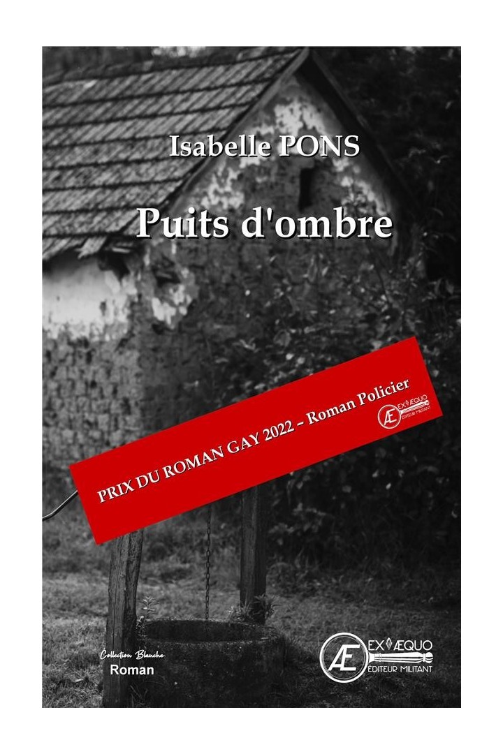 Puits d'ombre