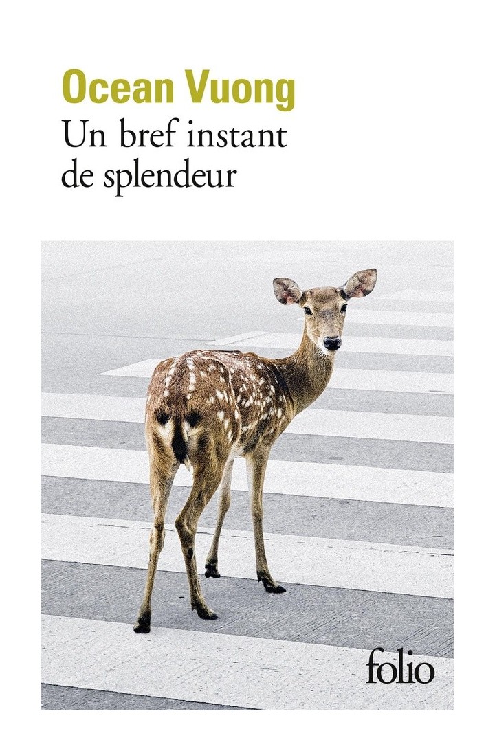 Un bref instant de splendeur
