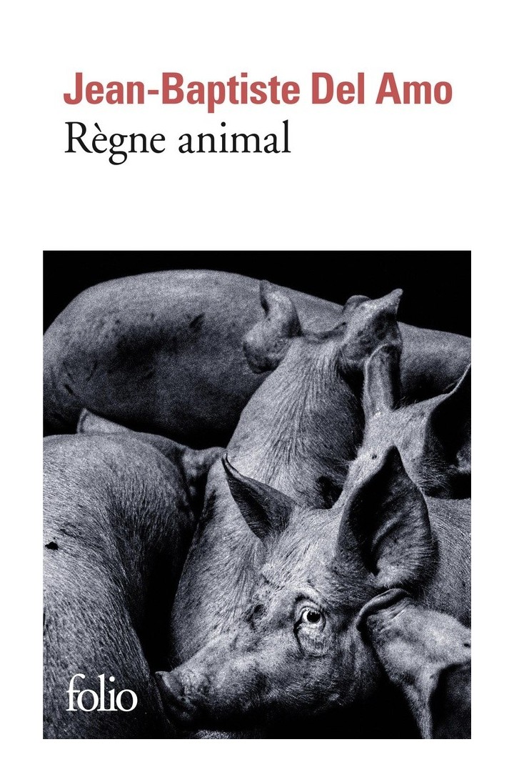 Règne animal