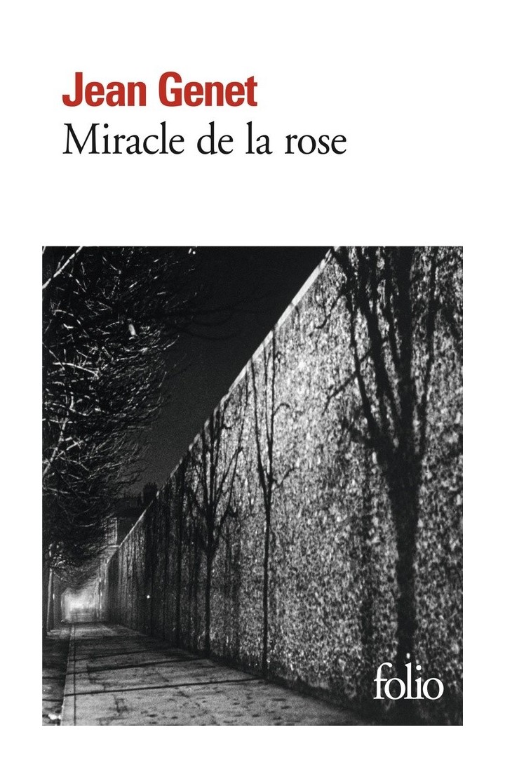 Miracle de la rose