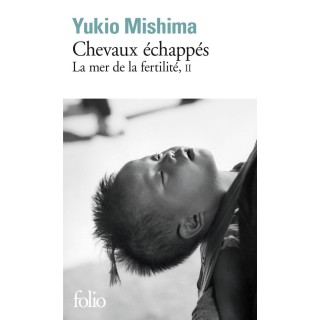 La mer de la fertilite Tome 2 ; chevaux échappés