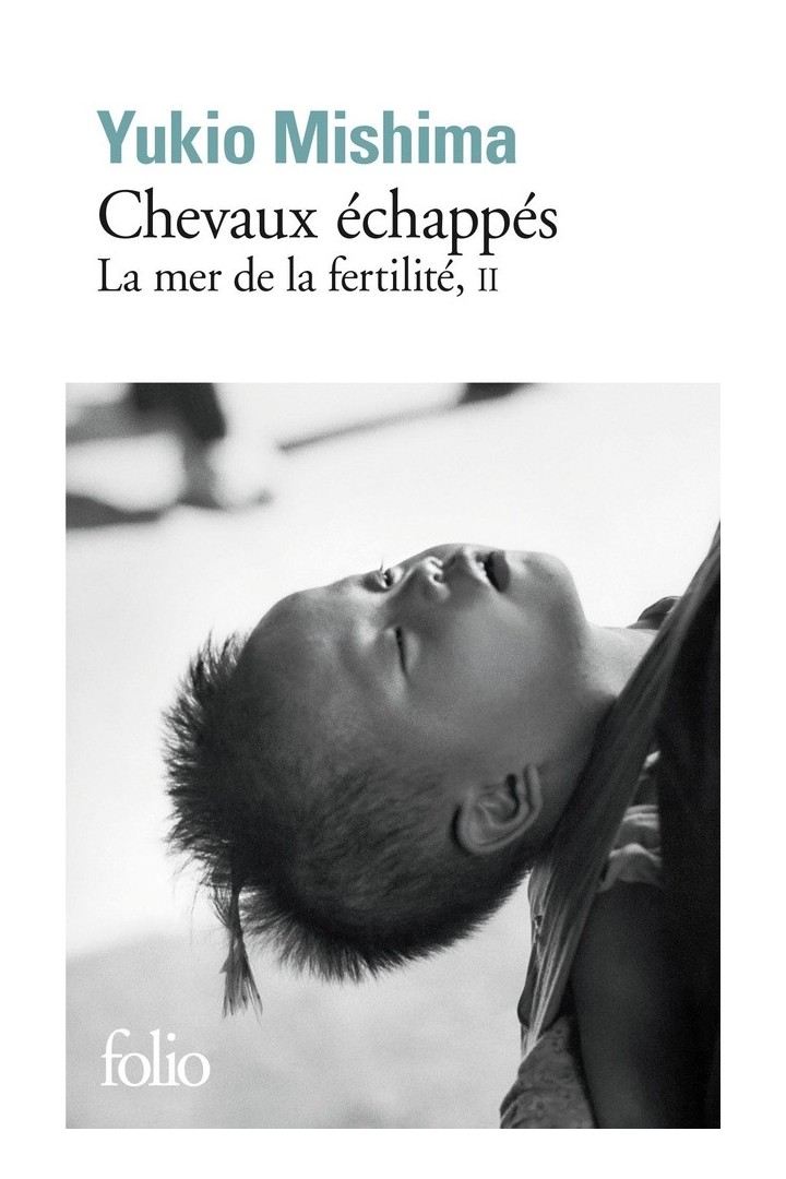 La mer de la fertilite Tome 2 ; chevaux échappés