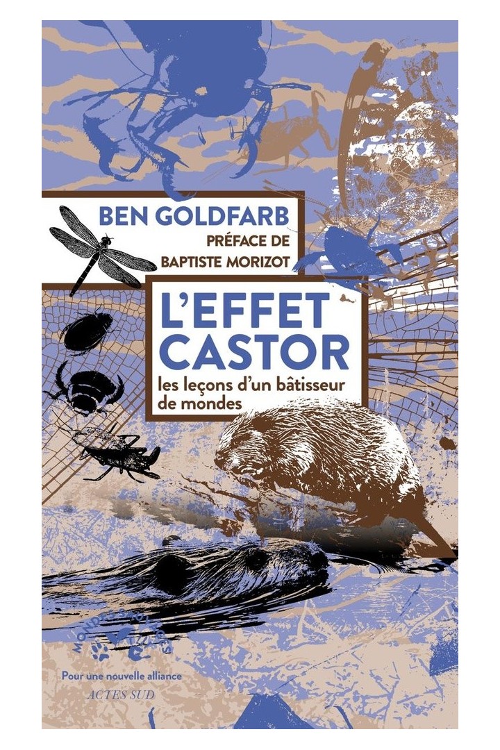L'effet castor : Les leçons d'un bâtisseur de mondes