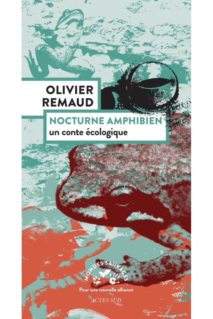 Nocturne amphibien : Un conte écologique