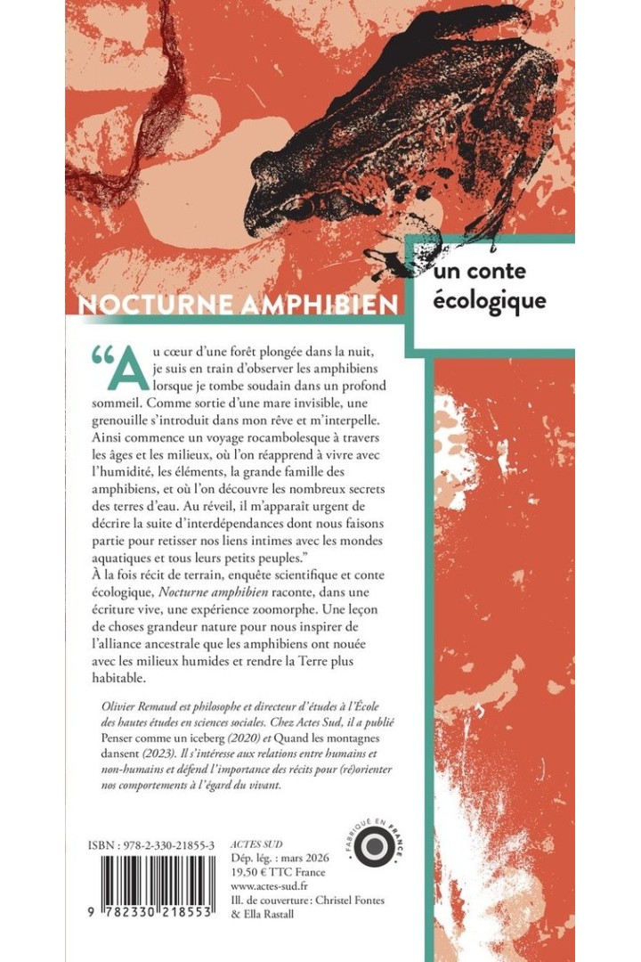 Nocturne amphibien : Un conte écologique