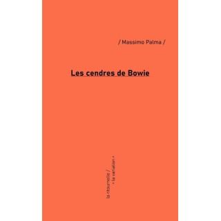 Les cendres de Bowie