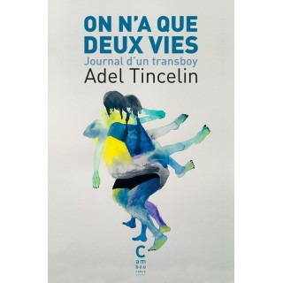 On n'a que deux vies ; journal d'un transboy