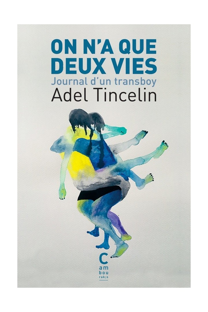 On n'a que deux vies ; journal d'un transboy