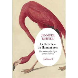 Le théorème du flamant rose : Une socio-archéologie de la maternité