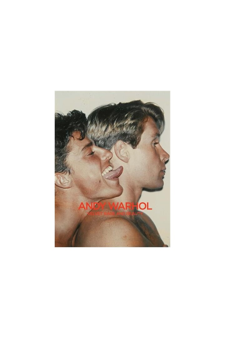 Andy Warhol : Velvet rage and beauty