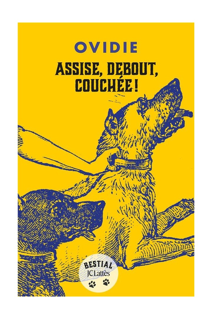 Assise, debout, couchée !