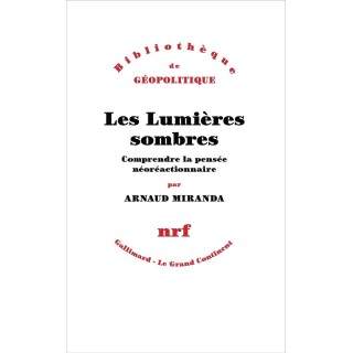 Les Lumières sombres : Comprendre la pensée néoréactionnaire