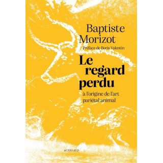 Le regard perdu : A l'origine de l'art pariétal animal