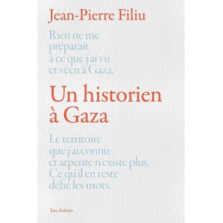Un historien à Gaza