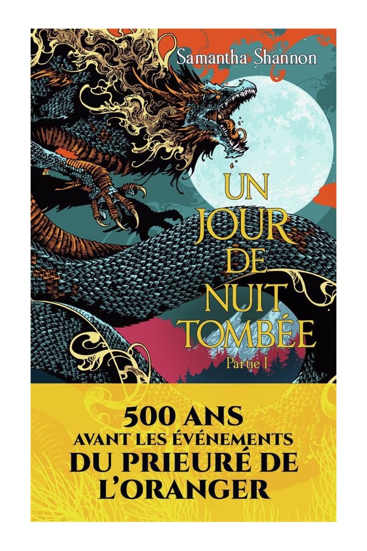Un jour de nuit tombée Tome 1