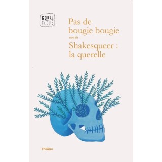 Pas de bougie bougie ; shakesqueer : la querelle