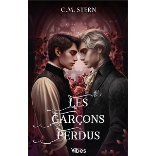 Les garçons perdus Tome 2