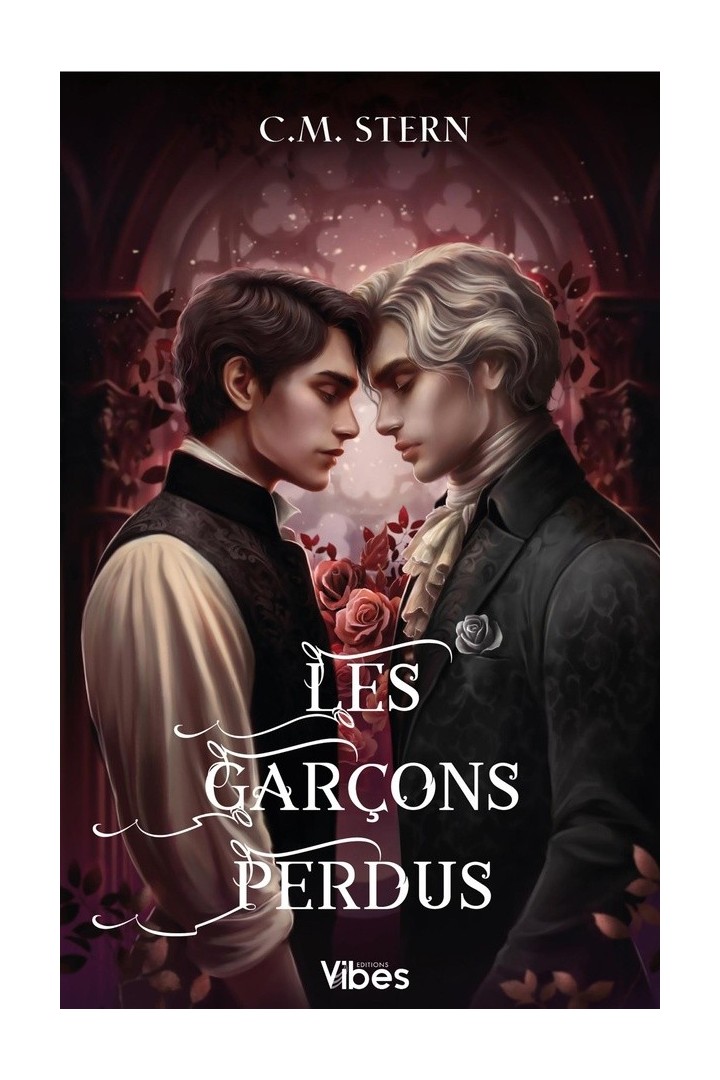 Les garçons perdus Tome 2