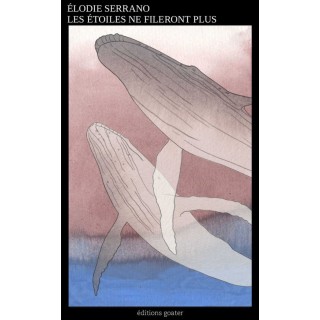 Les étoiles ne fileront plus