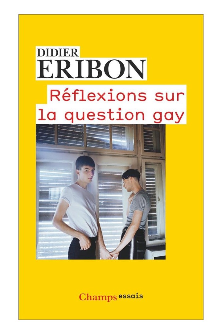 Réflexions sur la question gay