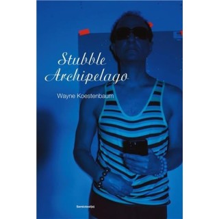Wayne Koestenbaum : Stubble archipelago /anglai