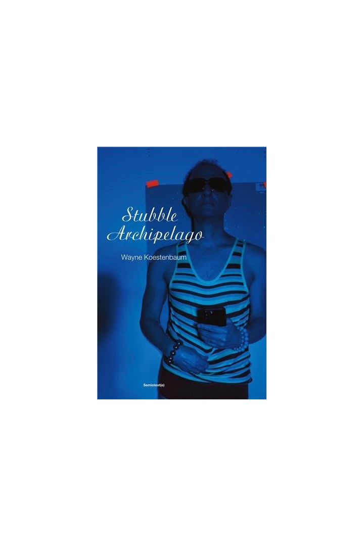 Wayne Koestenbaum : Stubble archipelago /anglai