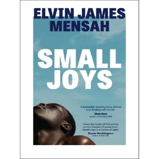 Small Joys : A Buzzfeed 'Amazing New Book You Need to Read ASAP'