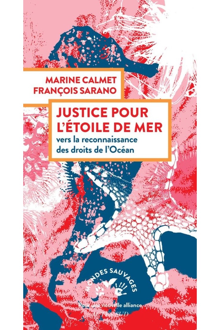 Justice pour l'étoile de mer : Vers la reconnaissance des droits de l'océan