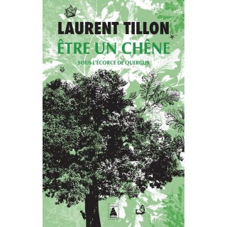 Être un chêne ; sous l'écorce de Quercus