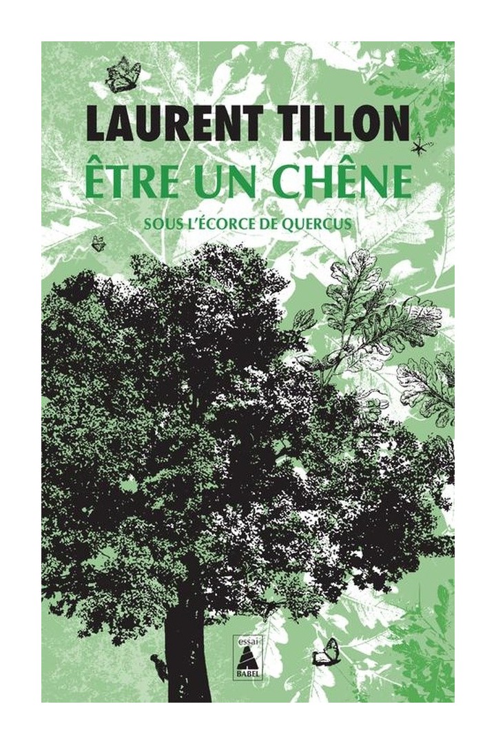 Être un chêne ; sous l'écorce de Quercus