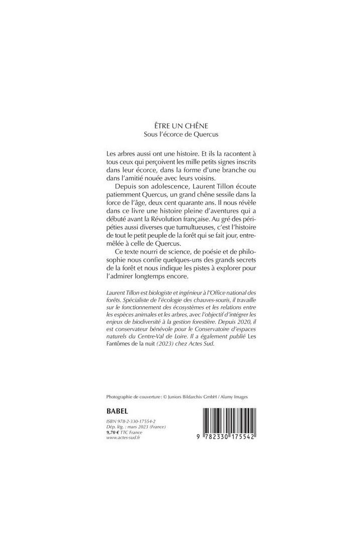 Être un chêne ; sous l'écorce de Quercus