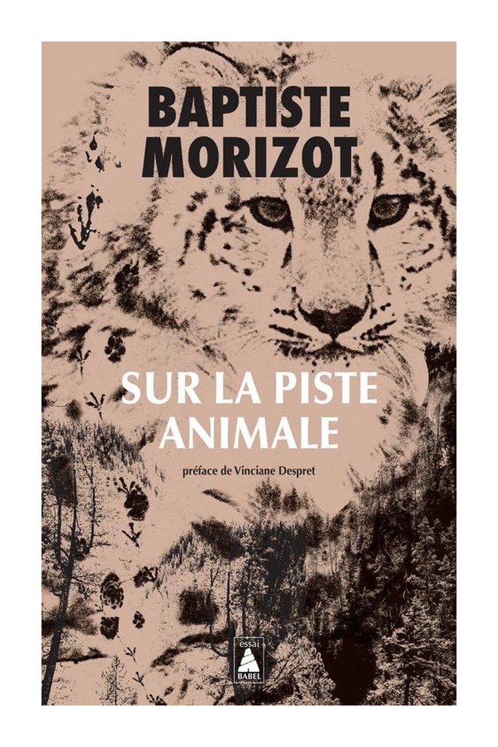 Sur la piste animale