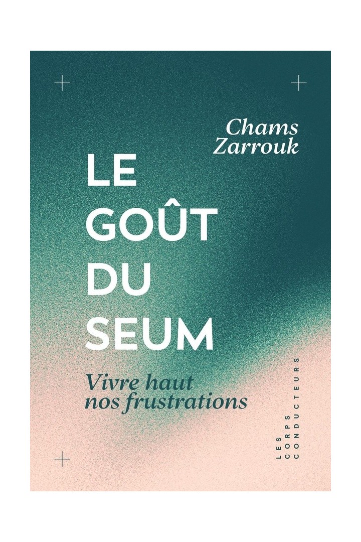 Le goût du seum : Vivre haut nos frustrations