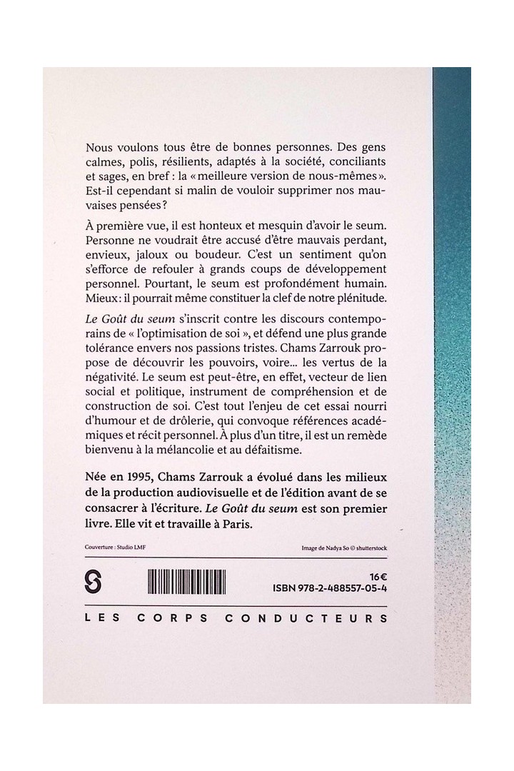 Le goût du seum : Vivre haut nos frustrations