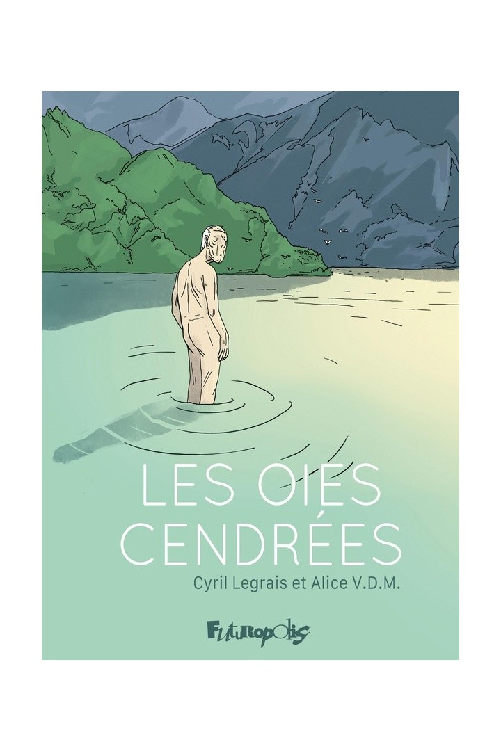 Les oies cendrées