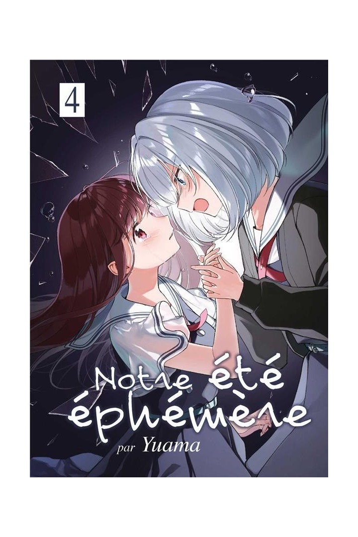 Notre été éphémère Tome 4