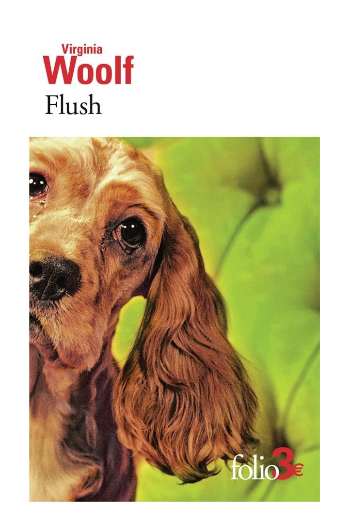 Flush : Biographie