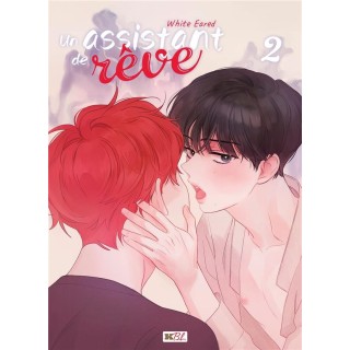 Un assistant de rêve Tome 2