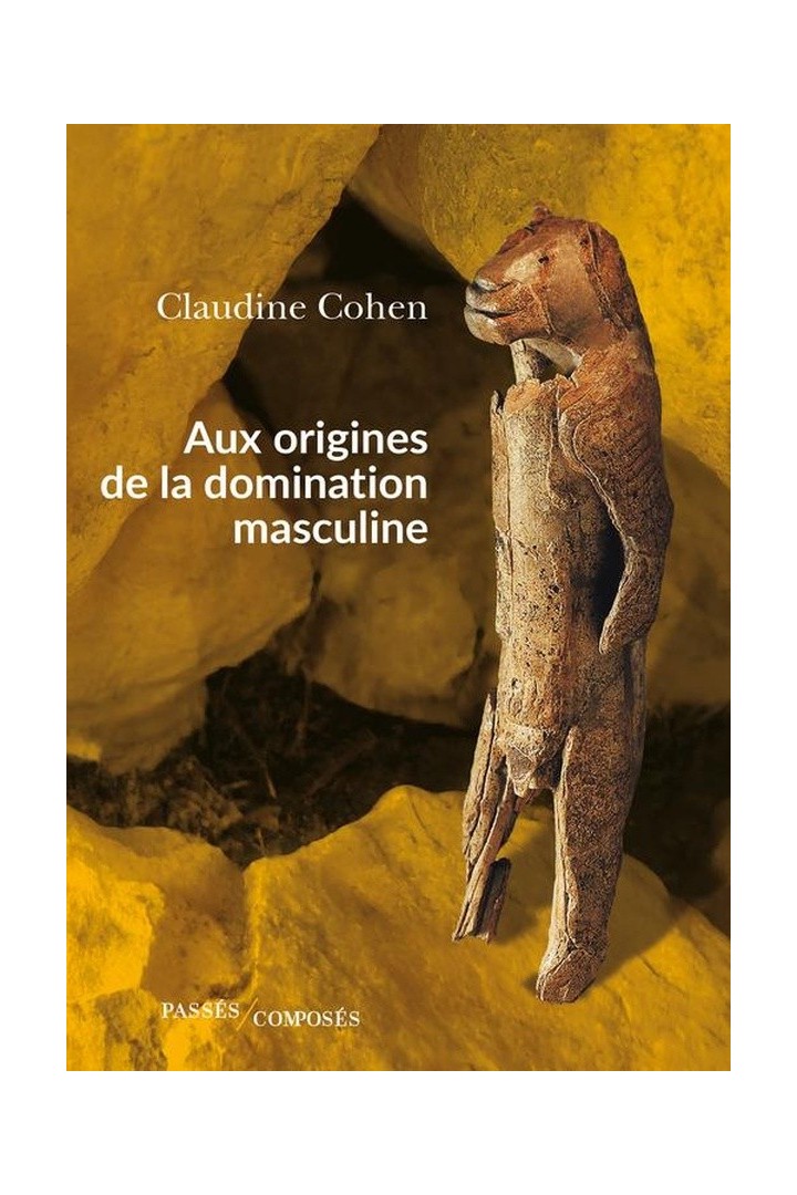 Aux origines de la domination masculine