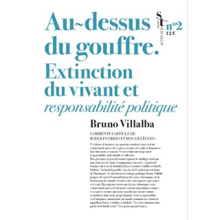 Au-dessus du gouffre : Extinction du vivant et responsabilité politique