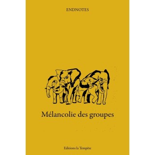 Mélancolie des groupes