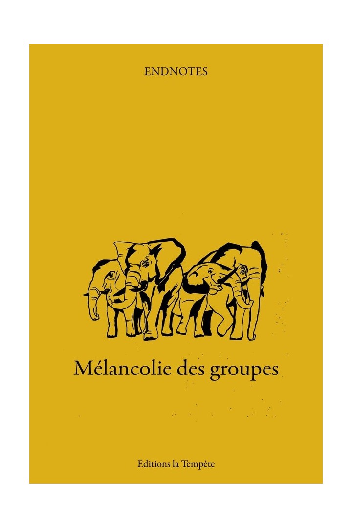 Mélancolie des groupes