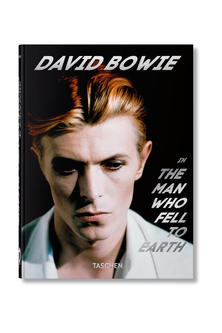 David Bowie : The man who fell to earth